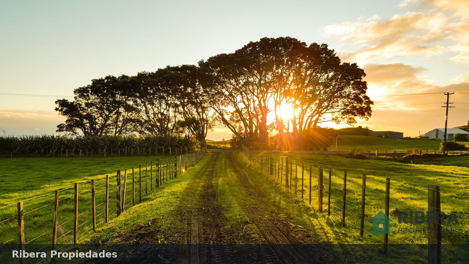 Campo agrícola de 120 hectáreas cerca de Casilda, foto 4