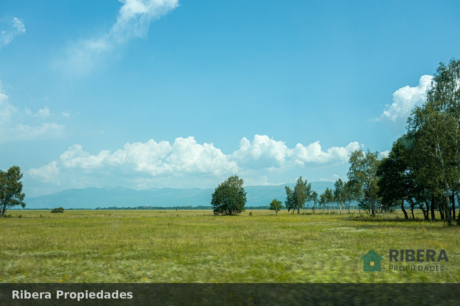 Campo agrícola de 120 hectáreas cerca de Casilda, foto 3